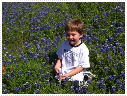 Kratz Hayden bluebonnets 07 Kratz Hayden bluebonnets 07